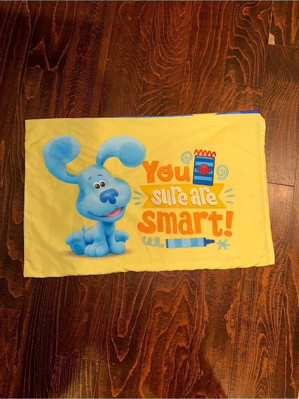 Vintage Blues Clues Nickelodeon  pillow case